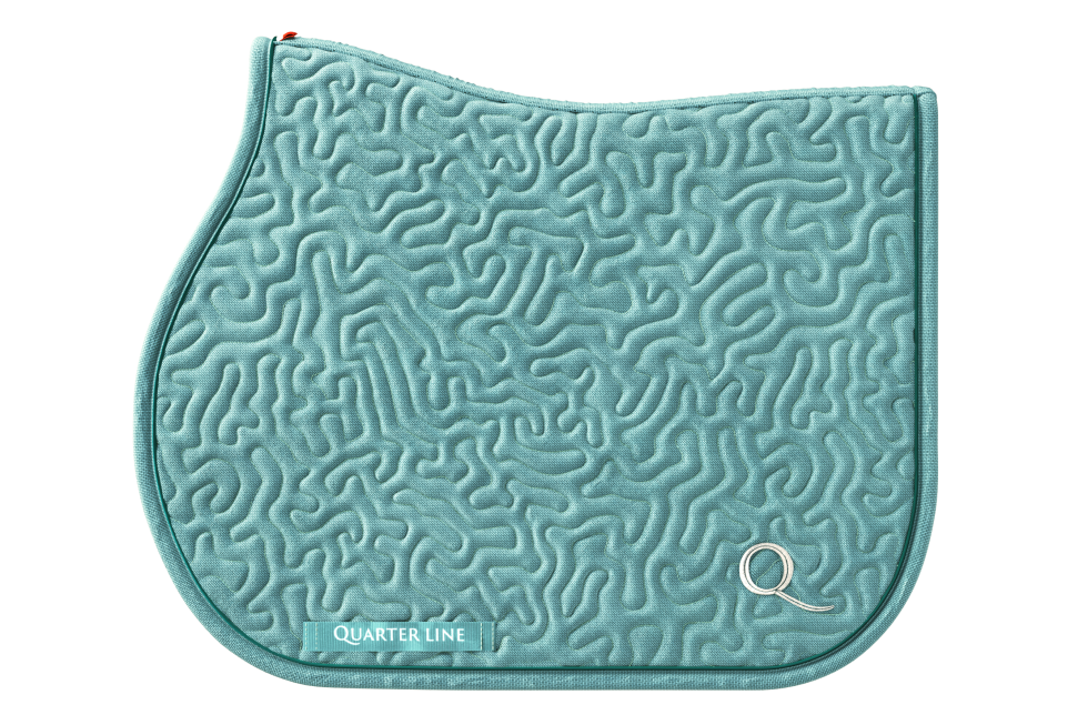 Czaprak skokowy Quarterline nemo jadeit