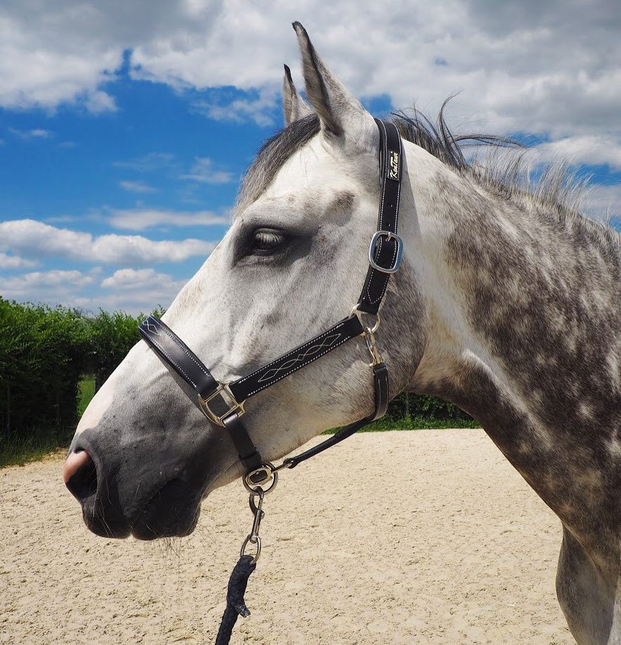 38744648_1123014297848912_1463579667402326016_n